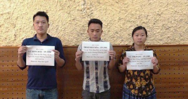 Yên Bái: Khởi tố, bắt giam 3 đối tượng lừa bán phụ nữ sang Trung Quốc