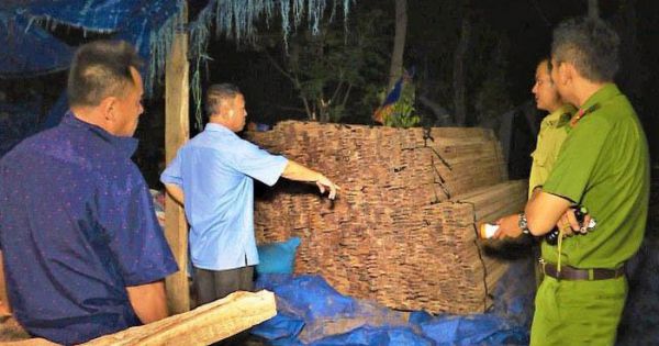 Phát hiện xưởng cưa không phép tập kết hơn 12m3 gỗ lậu