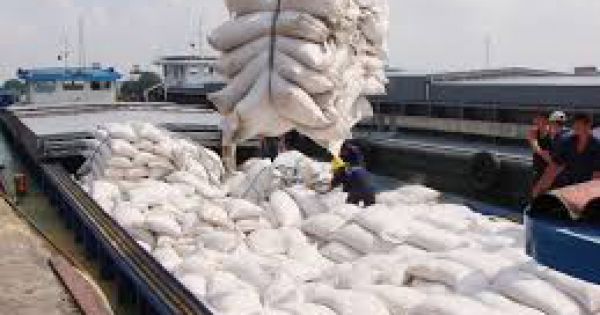 Thủ tướng yêu cầu thanh tra đột xuất về xuất khẩu gạo