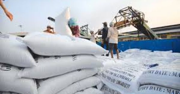 Thanh tra Chính phủ quyết định thanh tra đột xuất việc xuất khẩu gạo