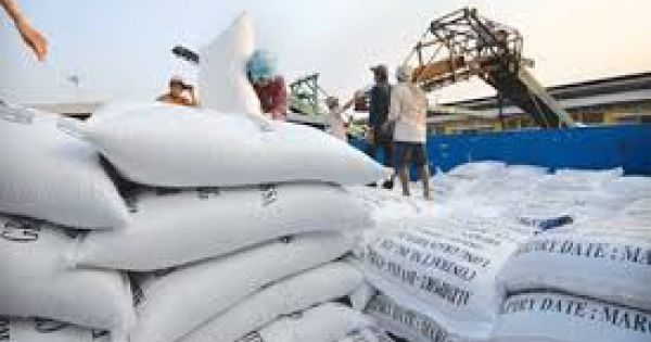 Thanh tra Chính phủ bắt đầu làm rõ có hay không lợi ích nhóm xuất khẩu gạo