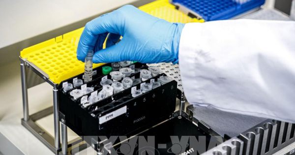 Nhật Bản sản xuất thành công kháng thể nhân tạo chống SARS-CoV-2