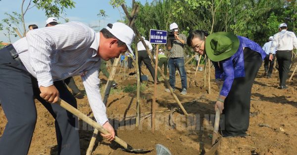 TP Hồ Chí Minh phát động Tết trồng cây đời đời nhớ ơn Bác Hồ