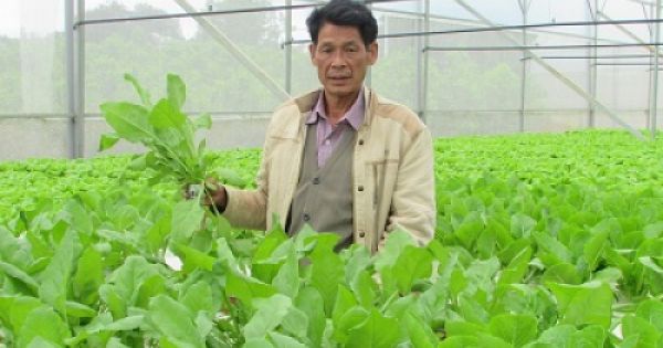 Đà Nẵng kêu gọi đầu tư vào các dự án nông nghiệp