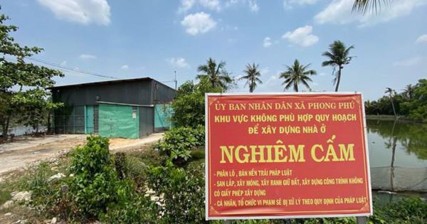 TPHCM: Chuẩn bị cưỡng chế công trình không phép tại KCN Phong Phú