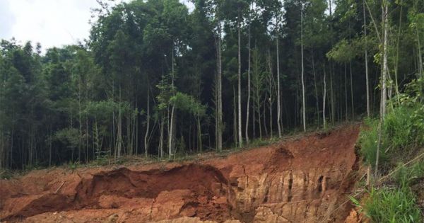 Mưa to khiến nhiều khu vực ở Lào Cai có nguy cơ sạt lở đất cao