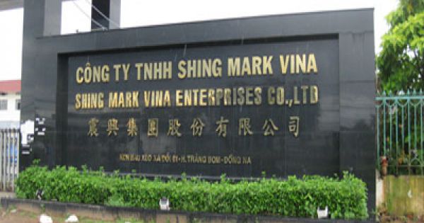 Vi phạm môi trường nghiêm trọng tại Công ty Shing Mark Vina