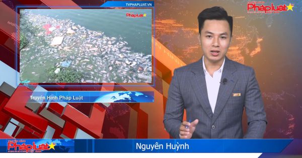 Phú Thọ: “Cá chết trắng” tại hồ sinh thái Đồng Cận