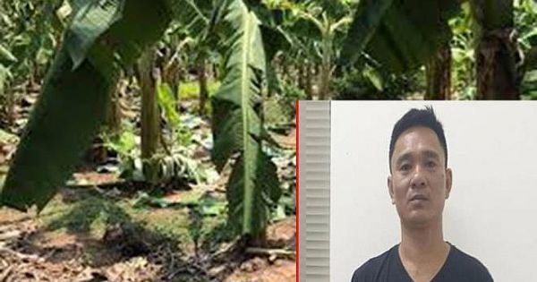 Khởi tố, bắt tạm giam nghi phạm hiếp dâm bé gái 12 tuổi trong vườn chuối ở Hà Nội