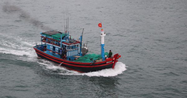 Xử nghiêm 'đường dây' đưa tàu cá ra nước ngoài đánh bắt trái phép