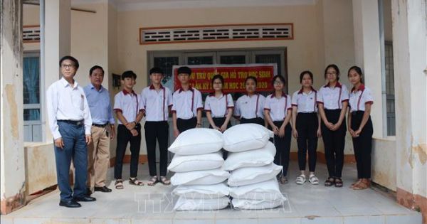 Hơn 1.500 tấn gạo hỗ trợ học sinh vùng đặc biệt khó khăn hai tỉnh Gia Lai - Kon Tum