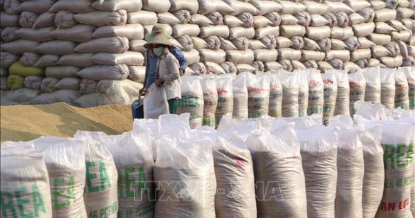 Bổ sung 274 tỷ đồng mua bù gạo dự trữ quốc gia