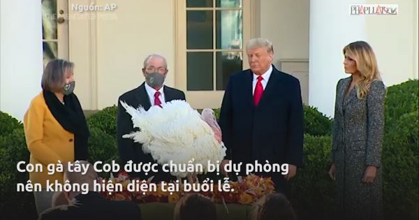 Tổng thống Trump ân xá cho cặp gà tây tại Nhà Trắng