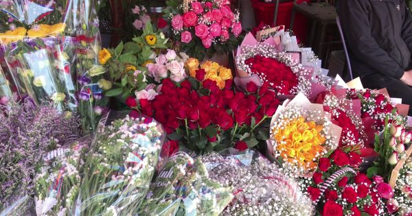 Lâm Đồng: Hoa hồng tăng giá mạnh cận ngày 8/3