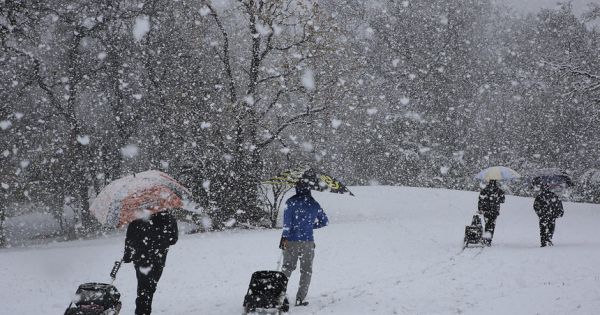 Bão tuyết lịch sử ở Texas khiến hơn 100 người thiệt mạng
