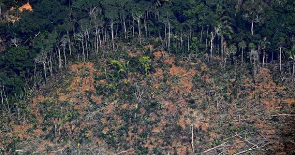 Brazil kêu gọi quốc tế đầu tư 1 tỷ USD để ngăn nạn phá rừng Amazon