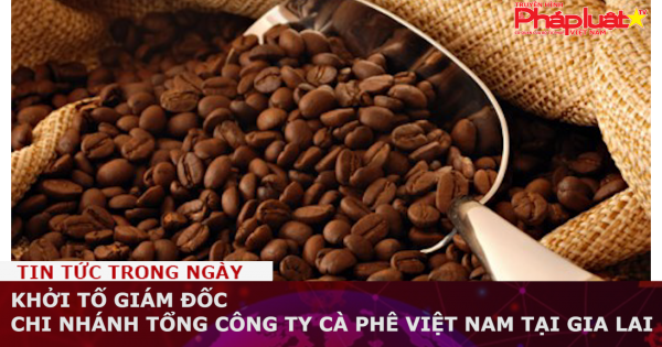 Khởi tố Giám đốc chi nhánh Tổng Công ty Cà phê Việt Nam tại Gia Lai