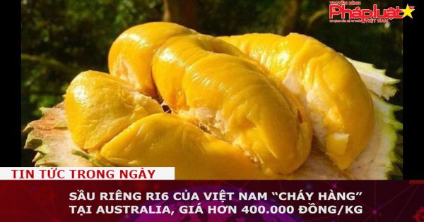 Sầu riêng Ri6 của Việt Nam “cháy hàng” tại Australia, giá hơn 400.000 đồng/kg