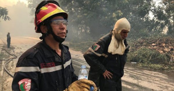 Cháy rừng lan rộng tại Algeria, hơn 40 người thiệt mạng