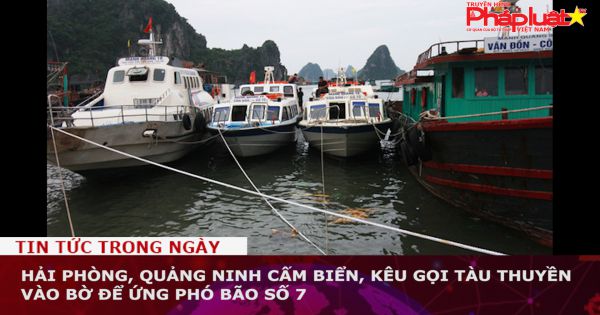 Hải Phòng, Quảng Ninh cấm biển, kêu gọi tàu thuyền vào bờ để ứng phó bão số 7