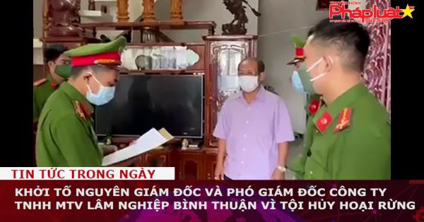 Khởi tố nguyên giám đốc và phó giám đốc Công ty TNHH MTV Lâm Nghiệp Bình Thuận vì tội hủy hoại rừng