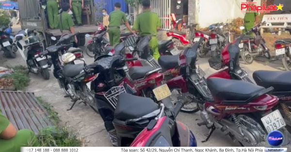 Tiền Giang: Công an huyện Cái Bè tạm giữ 52 xe mô tô không rõ nguồn gốc