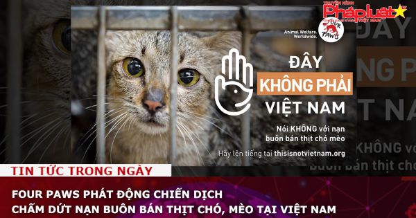 FOUR PAWS phát động chiến dịch chấm dứt nạn buôn bán thịt chó, mèo tại Việt Nam