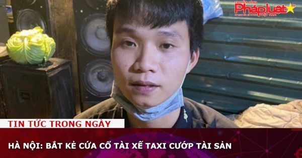 Hà Nội: Bắt kẻ cứa cổ tài xế taxi cướp tài sản