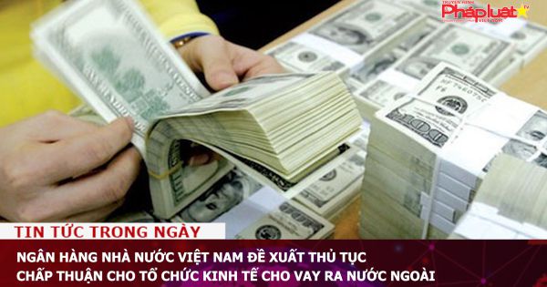Ngân hàng Nhà nước Việt Nam đề xuất thủ tục chấp thuận cho Tổ chức kinh tế cho vay ra nước ngoài