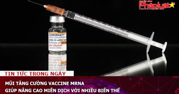 Mũi tăng cường vaccine mRNA giúp nâng cao miễn dịch với nhiều biến thể