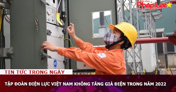Tập đoàn Điện lực Việt Nam không tăng giá điện trong năm 2022
