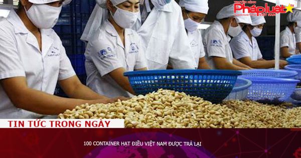 100 container hạt điều Việt Nam được trả lại