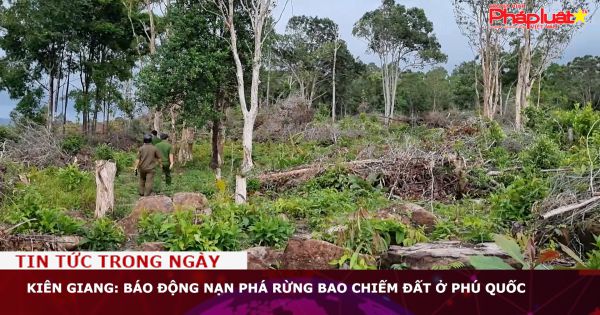Kiên Giang: Báo động nạn phá rừng bao chiếm đất ở Phú Quốc