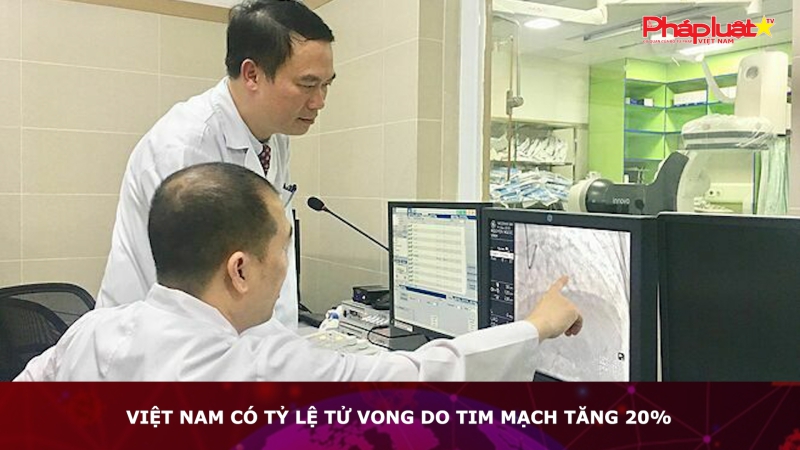 Việt Nam có tỷ lệ tử vong do tim mạch tăng 20%