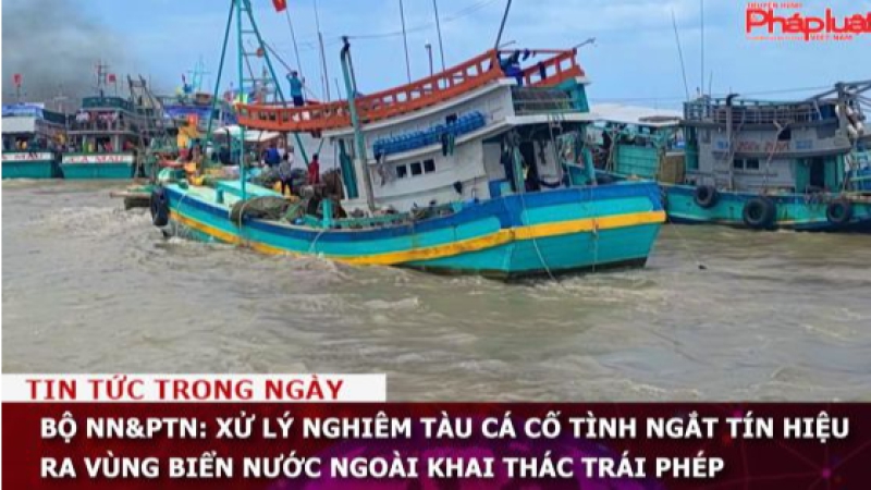 Bộ NN&PTN: Xử lý nghiêm tàu cá cố tình ngắt tín hiệu ra vùng biển nước ngoài khai thác trái phép