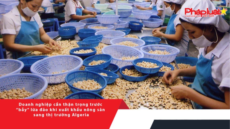 Bẫy” lừa đảo khi xuất khẩu nông sản sang thị trường Algeria