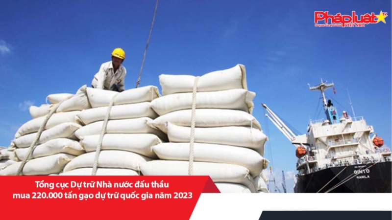 Tổng cục Dự trữ Nhà nước đấu thầu mua 220.000 tấn gạo dự trữ quốc gia năm 2023