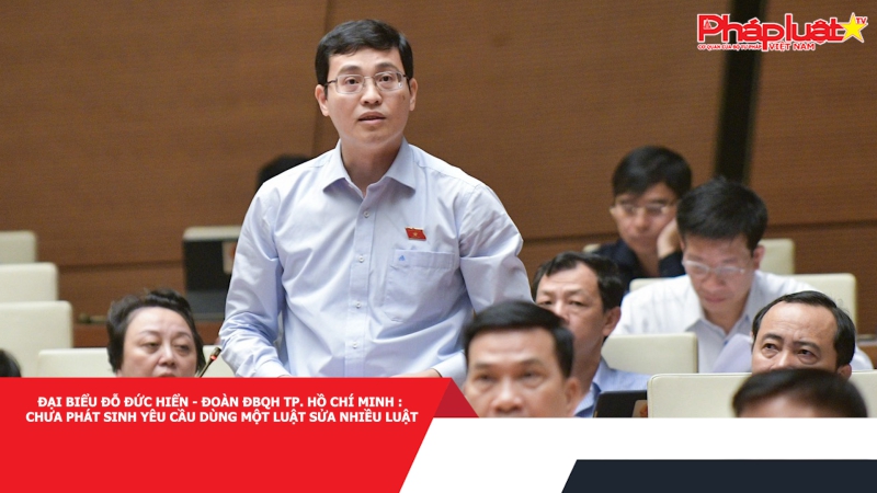 Đại biểu Đoàn ĐBQH TP. Hồ Chí Minh: Chưa phát sinh yêu cầu dùng một luật sửa nhiều luật