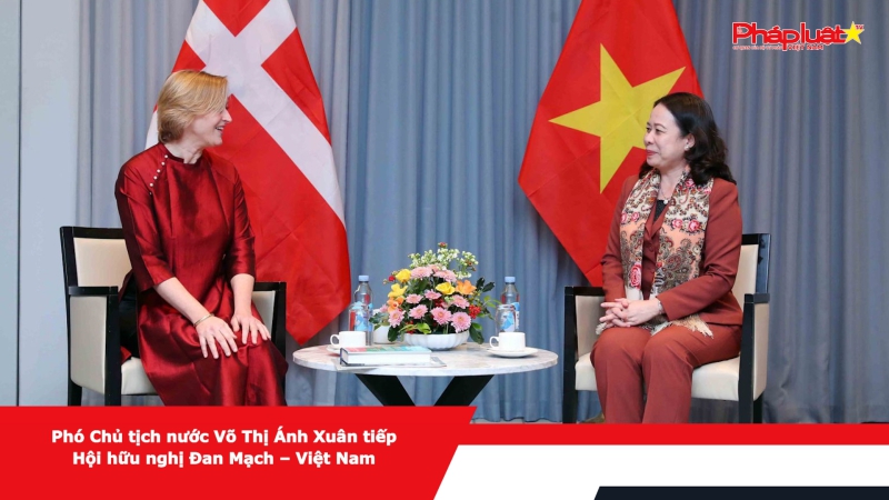 Phó Chủ tịch nước Võ Thị Ánh Xuân tiếp Hội hữu nghị Đan Mạch – Việt Nam