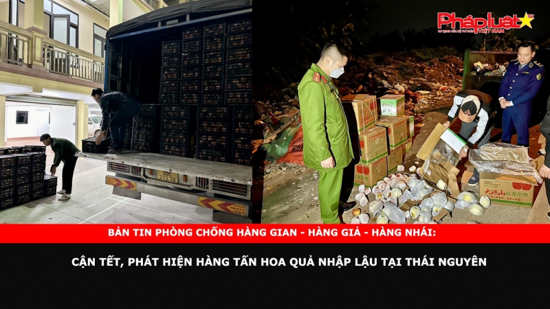 Bản tin chung tay cùng doanh nghiệp phòng chống Hàng gian- Hàng giả- Hàng nhái: Cận Tết, phát hiện hàng tấn hoa quả nhập lậu tại Thái Nguyên