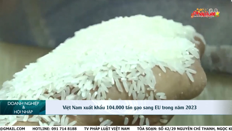 Bản tin Doanh nghiệp và Hội nhập: Việt Nam xuất khẩu 104.000 tấn gạo sang EU trong năm 2023