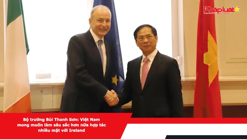 Bộ trưởng Bùi Thanh Sơn: Việt Nam mong muốn làm sâu sắc hơn nữa hợp tác nhiều mặt với Ireland
