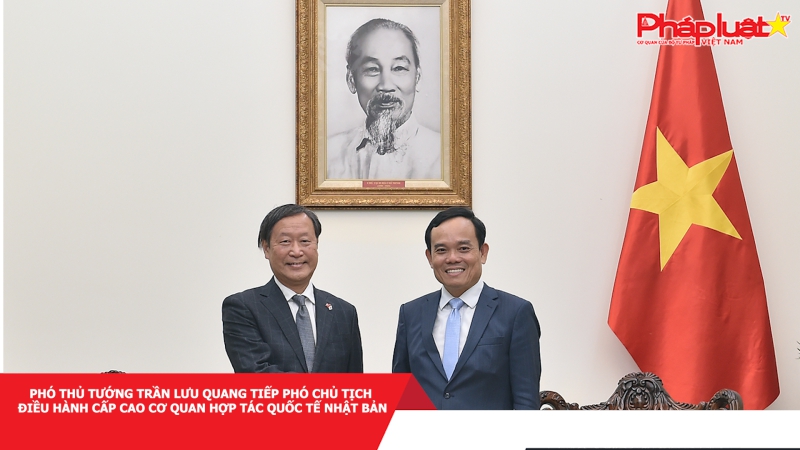 Phó Thủ tướng Trần Lưu Quang tiếp Phó Chủ tịch điều hành cấp cao Cơ quan Hợp tác quốc tế Nhật Bản